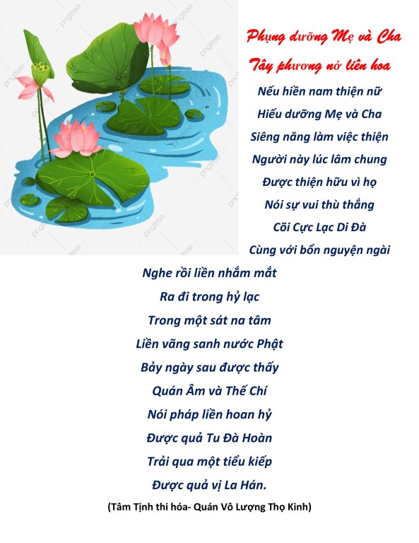 hieu duong cha me_vu lan bao hieu8.jpg